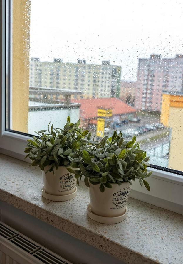 Top Floor Apartment Gorzów Wielkopolski Kültér fotó
